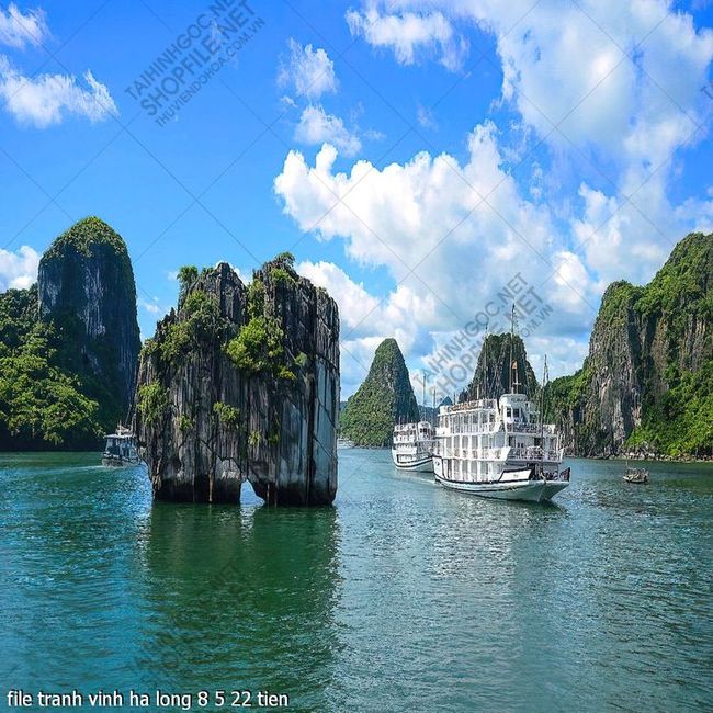 file tranh vinh ha long 8 5 22 tien